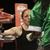 Heather Hardy Fight Night